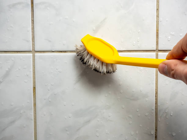Best Commercial Mold Remediation in Evart, MI